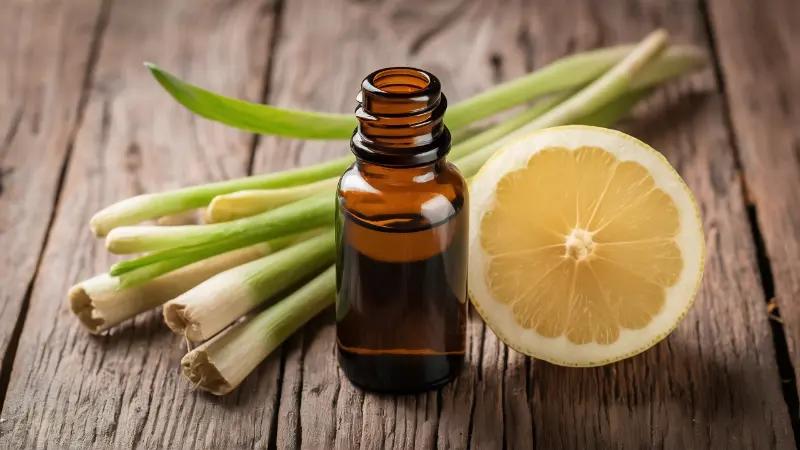 Lemongrass Oil Exporters in India